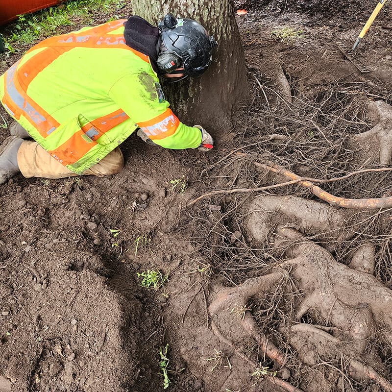 Root zone care2