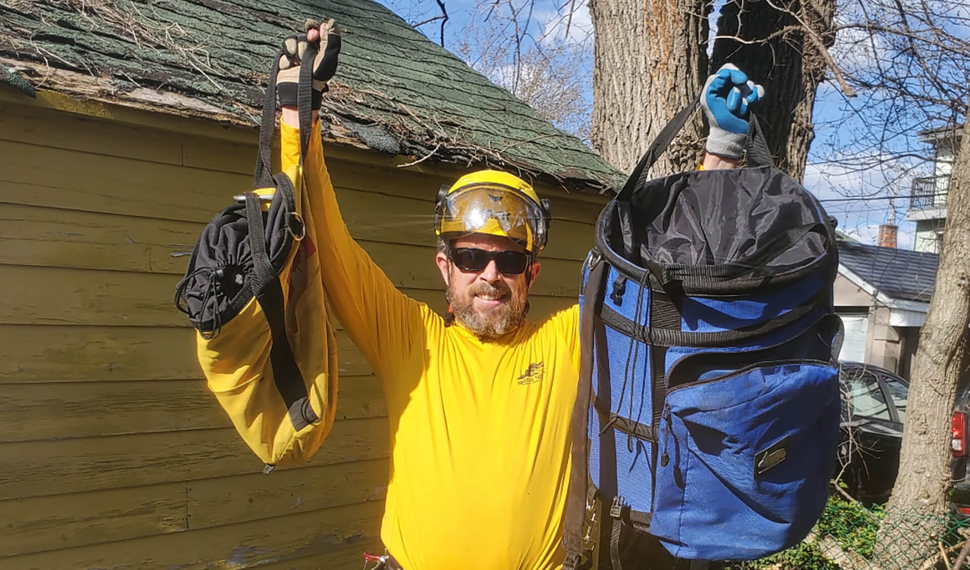 Arborists Saving Cats