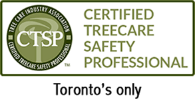 CTSP Logo