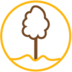 Tree Planting Toronto