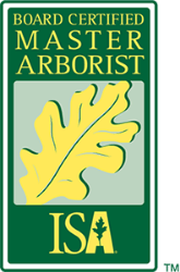 Certified Arborist Toronto