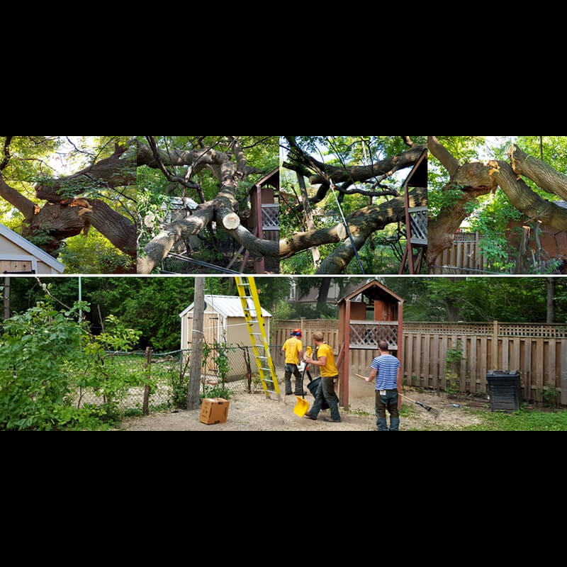 Toronto+Storm+Damage+Emergency+Response