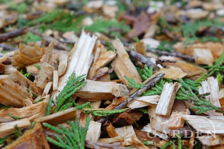 Arborist mulch