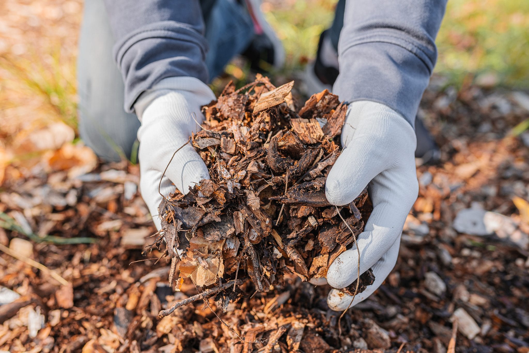 The Benefits of Mulch