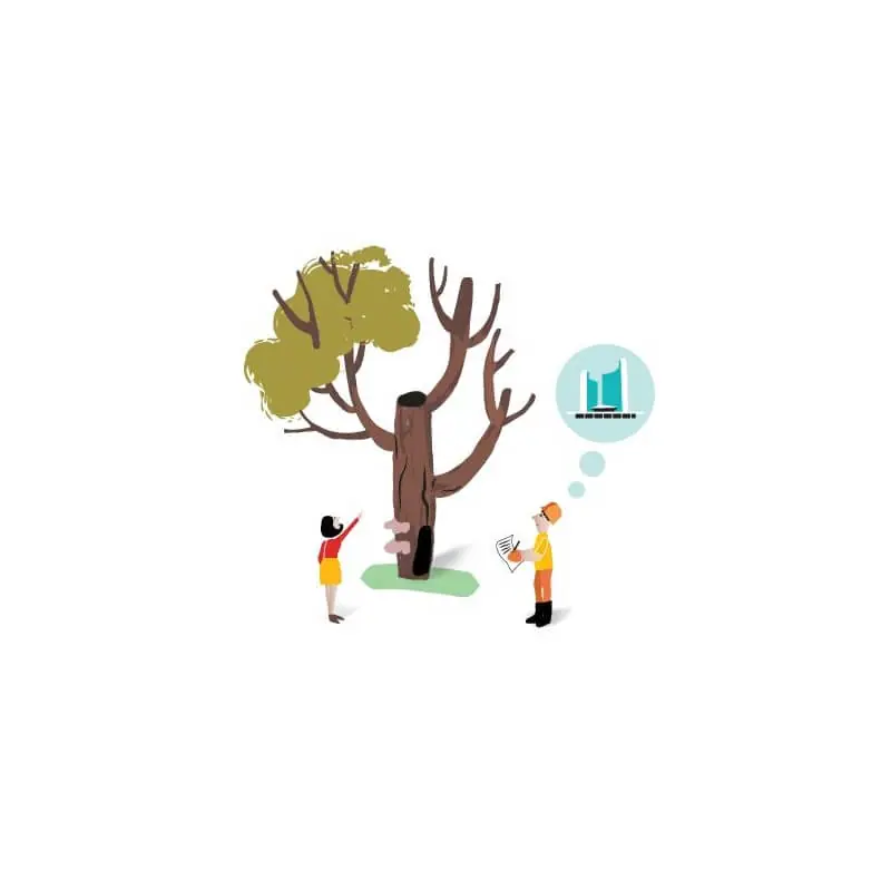 Arborists in Toronto