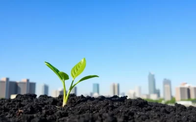 Soil Remediation Toronto: Transforming Contaminated Land